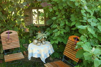 Ein Blick in den Garten von Margareta Benecke