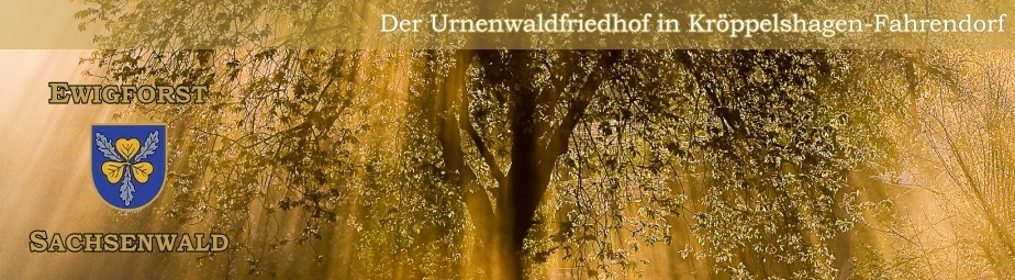 Bild vergr&ouml;&szlig;ern: ewigforst