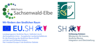 Bild vergrößern: Dassendorf-App Logos angeordnet