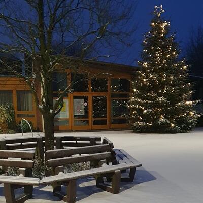 Bild vergr&ouml;&szlig;ern: Weihnachtsbaum