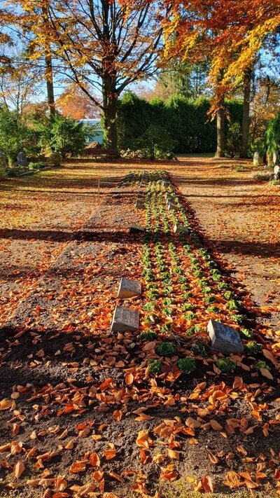Bild vergr&ouml;&szlig;ern: Friedhof