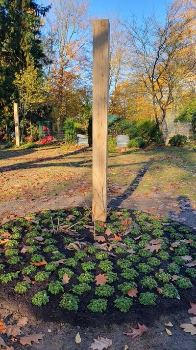 Bild vergr&ouml;&szlig;ern: Friedhof