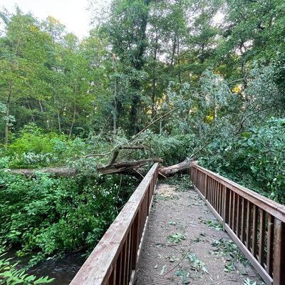 Br&uuml;cke Billeweg