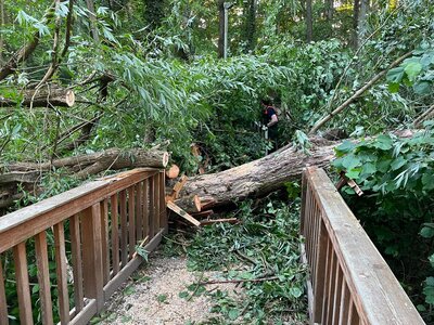 Bild vergr&ouml;&szlig;ern: Br&uuml;cke Billeweg