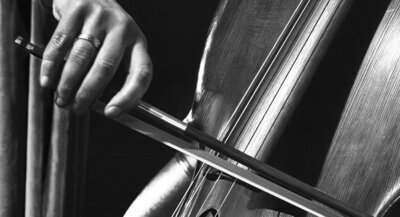 Bild vergr&ouml;&szlig;ern: Ausstellung in SchwarzWei&szlig;, Foto: Wilmhard Borngr&auml;ber, Cellist