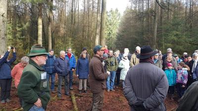 Bild vergr&ouml;&szlig;ern: Saupark Gemeinde Dassendorf