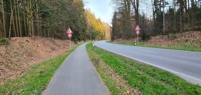 Bild vergr&ouml;&szlig;ern: Saupark